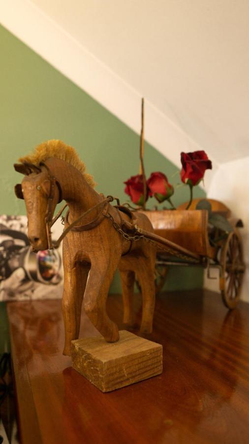 Casa Das Termas Termas de São Pedro do Sul Eksteriør billede